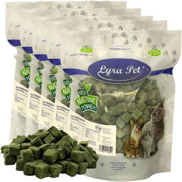 Produktbild von 1 kg (5 x 200 g) Lyra Pet® Katzengraswürfel gefriergetrocknet