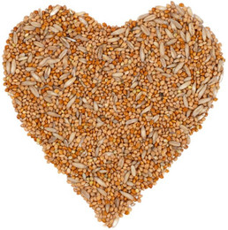 Produktbild von 10 kg Lyra Pet® Wellensittichfutter B-Ware