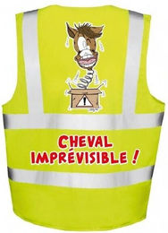 Produktbild von 12er-Set unreflektierender fluoreszierender Warnwesten Fr8Man