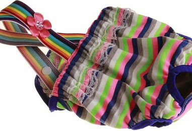 Produktbild von 1pc Pet Carrier gestreifte physiologische Hose Hund Unterwäsche Anti-Belästigung Menstruationshose B