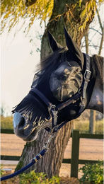 Produktbild von 3-in-1 Fliegenmaske für Pferde Lami-Cell Flexifit