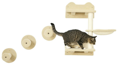 4-teiliges Katzentreppen Set mit Kletterwand und Kratzbaum für Katzen zur Innenanwendung – Bild 1 von 1