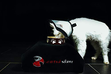 Produktbild von 4Cats Pet Airs Schutzkragen XS