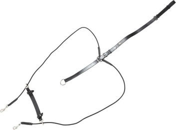 Produktbild von 4Horses Ausbinder Gogue