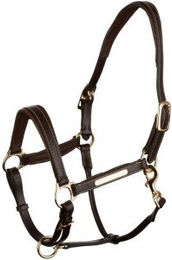 4Horses Lederhalfter Landscape kastanie braun WB (Warmblut) – Bild 1 von 3