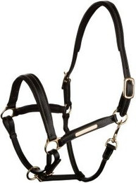 Produktbild von 4Horses Lederhalfter Landscape schwarz WB (Warmblut)