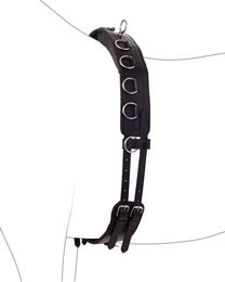 Produktbild von 4Horses Longiergurt Leder