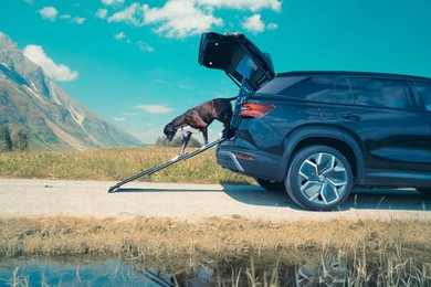 Produktbild von 4pets® Einstiegshilfe Easy Steps noir