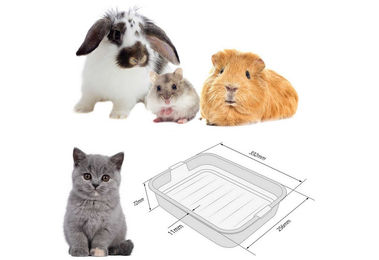 4BIG.fun Katzentoilette für Kitten als offene Schalentoilette aus Kunststoff in XS mit Reinigungssieb - 1 Stk. – Bild 1 von 5