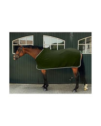 4Horses Abschwitzdecke Bilbao für Pferde aus Polyester in Grün 155 cm – Bild 1 von 3