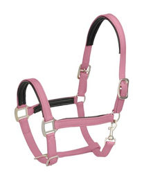 4HORSES Biothane Stallhalfter Genua für Pferde in Pink/Rosa – Bild 1 von 2
