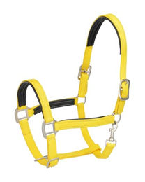 Produktbild von 4Horses Biothane Stallhalfter Genua für Ponys in Gelb