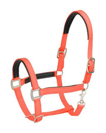 Produktbild von 4HORSES Biothane Stallhalfter Genua für Ponys in Orange