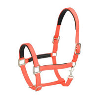 Produktbild von 4HORSES Biothane Stallhalfter Genua für Ponys in Orange