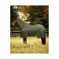 Produktbild von 4Horses Fliegen- und Regendecke Manchester für Pferde in Grün mit Mesh und abnehmbarem Halsteil