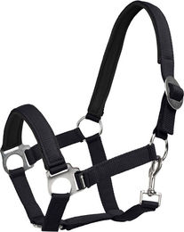 Produktbild von 4Horses Halfter Sofia aus Neopren