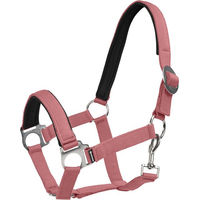 Produktbild von 4Horses Halfter Sofia aus Neopren für Pferde in Rosa