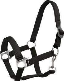 Produktbild von 4Horses Halfter Sofia aus Neopren für Kaltblut in Schwarz