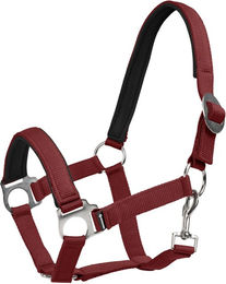 4Horses Halfter Sofia aus Neopren in Rot – Bild 1 von 2