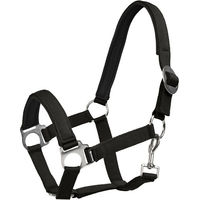 Produktbild von 4Horses Halfter Sofia aus Neopren in Schwarz