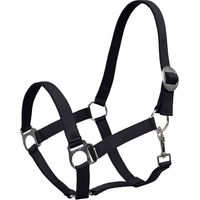 Produktbild von 4Horses Halfter Sofia aus Nylon für Vollblut in Blau oder Schwarz