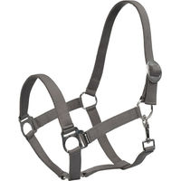 Produktbild von 4Horses Halfter Sofia für Pferde aus Nylon in Grau Größe M