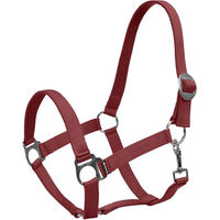 Produktbild von 4Horses Halfter Sofia für Pferde aus Nylon in Rot Größe M