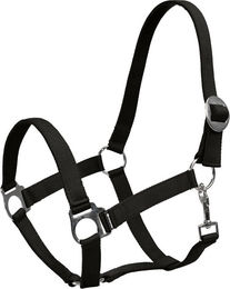 Produktbild von 4Horses Halfter Sofia für Warmblut aus Nylon in Schwarz