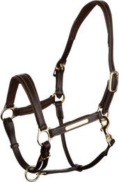 4Horses Lederhalfter Landscape Braun für Vollblut Pferde – Bild 1 von 3