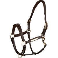 Produktbild von 4Horses Lederhalfter Landscape Braun für Vollblut Pferde