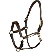 Produktbild von 4Horses Lederhalfter Landscape für Ponys aus Echtleder in Braun