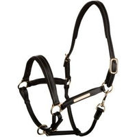 Produktbild von 4Horses Lederhalfter Landscape für Ponys aus Echtleder in Schwarz