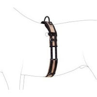 Produktbild von 4Horses Longiergurt aus Leder mit Handgriff für Ponys in Schwarz oder Braun