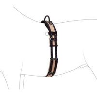 Produktbild von 4Horses Longiergurt mit Handgriff aus Leder für Shetty in Schwarz