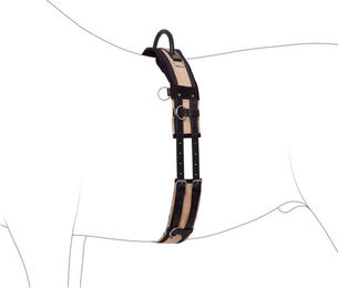 Produktbild von 4Horses Longiergurt mit Handgriff aus Leder in Schwarz für Warmblut