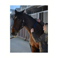 Produktbild von 4Horses Massageroller Relax & Calm Blau aus Kunststoff