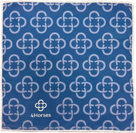 4Horses Mikrofasertuch zur Fellpflege aus Polyester Blau 40 x 40 cm – Bild 1 von 2