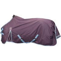 Produktbild von 4HORSES Outdoordecke Davos für Pferde aus Polyester
