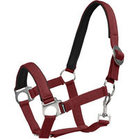 Produktbild von 4Horses Pony Halfter Sofia aus Neopren in Rot