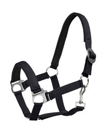 4Horses Stallhalfter Sofia aus Neopren für Ponys in Blau oder Schwarz – Bild 1 von 2