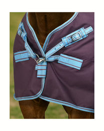 Produktbild von 4HORSES Winterdecke Davos für Pferde Dark Wine - Fig aus Polyester 100 g