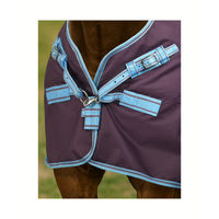 Produktbild von 4HORSES Winterdecke Davos für Pferde Dark Wine - Fig aus Polyester 100 g