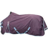 Produktbild von 4Horses Winterdecke Davos Rot 200g aus Polyester