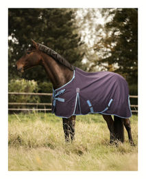 4Horses Winterdecke Davos Rot 200g aus Polyester – Bild 1 von 2
