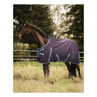 Produktbild von 4Horses Winterdecke Davos Rot 200g aus Polyester
