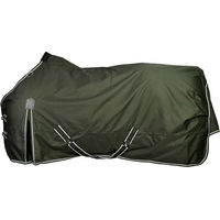 Produktbild von 4Horses Winterdecke Kalmar für Pferde aus Polyester in Grün 115 cm