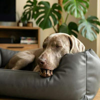 Produktbild von 4L Textil Mario Orthopädisches Hundebett XL aus Kunstleder mit Memory Foam in Graphit 120x90x25 cm