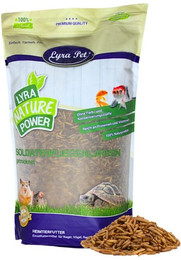 Produktbild von 5 kg Lyra Pet® Soldatenfliegenlarven B-Ware