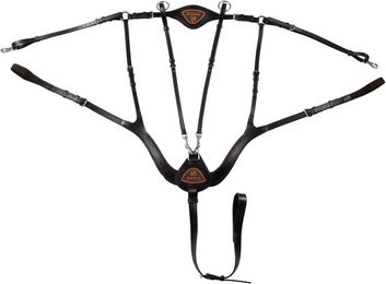 Produktbild von 5-Punkte-Leder-Halsband für Pferde Acavallo Anatomical