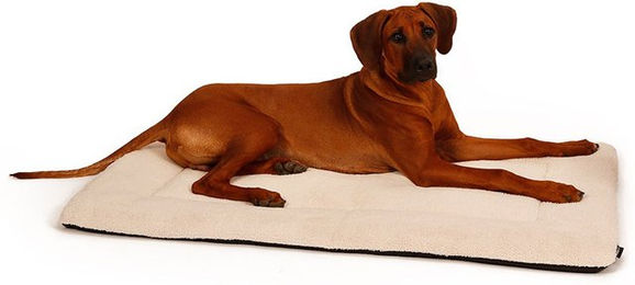 51 Degrees North Sheep Bench Hundekissen Beige Größe S – Bild 1 von 2